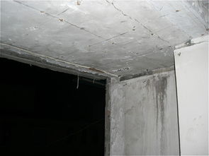 建材与家具 构筑美好家居的双重基石